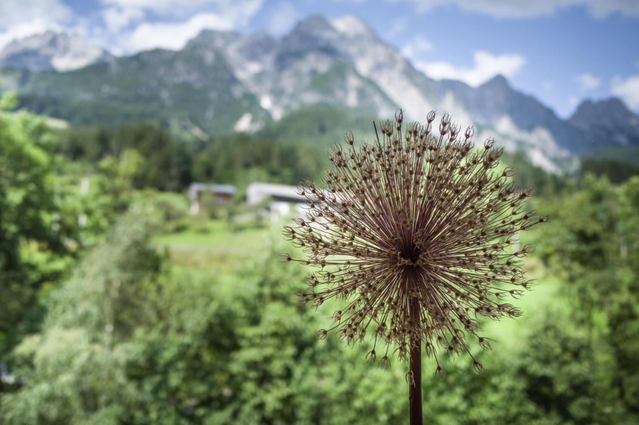 Ferienpension Bierbaumer Leogang Kültér fotó